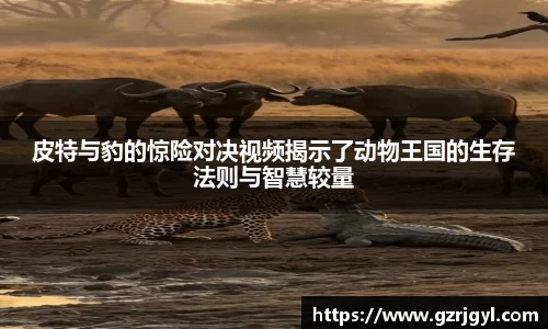 南宫娱乐