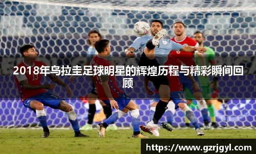 2018年乌拉圭足球明星的辉煌历程与精彩瞬间回顾